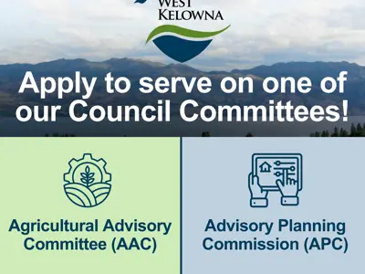 Council-Committee_post-1.png