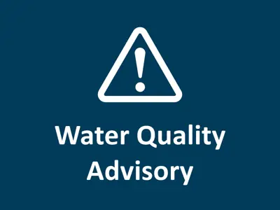 WQA-for-website.png