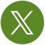 X icon