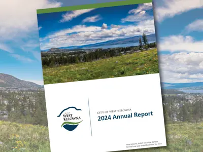 2024-Annual-Report-Graphic.jpg