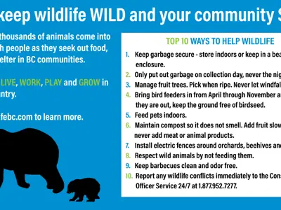 WildlifeSafety-Top10-Twitter-27MAY2020.jpg
